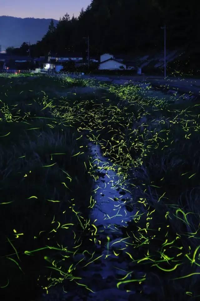 春节期间,昆明全市邮政营业网点均不打烊