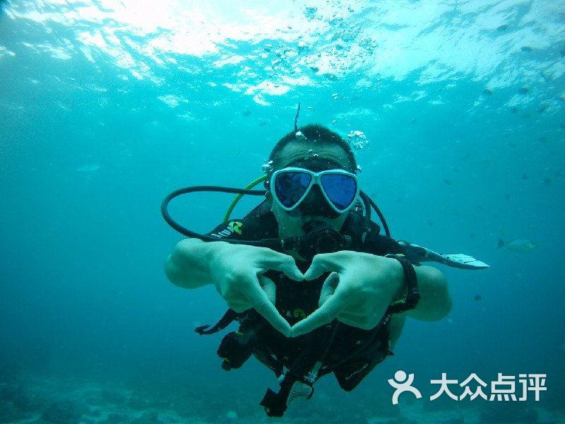 全民剧本大师内置菜单